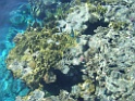DSCF2966