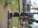 DSCF3131