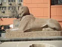DSCF3141