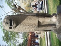 DSCF3146