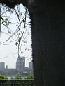 DSCF3150