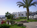 DSCN8209