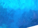DSCN8213