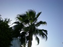 DSCN8229