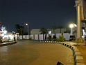 DSCN8233