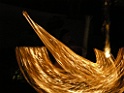 DSCN8271