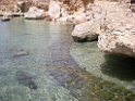 DSCN8283