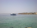 DSCN8286