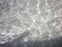DSCN8288
