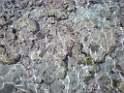 DSCN8289