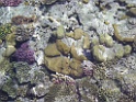 DSCN8294