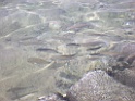 DSCN8300
