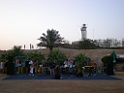 DSCN8343