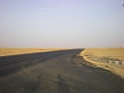 DSCN8352