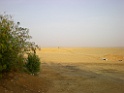 DSCN8361