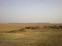DSCN8363