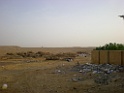 DSCN8364