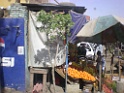 DSCN8376