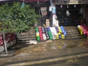 DSCN8377