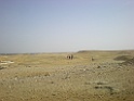 DSCN8413
