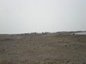 DSCN8422