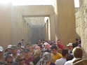 DSCN8434