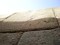 DSCN8440
