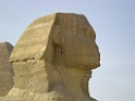 DSCN8453