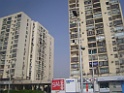 DSCI4880