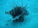 P3100018