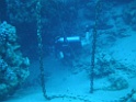 P3100045