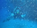 P3100054