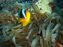 P3100061
