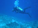 P3120095
