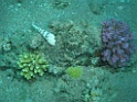 P3120115