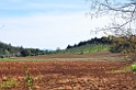 DSC_4965