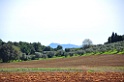 DSC_4966