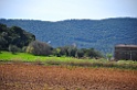 DSC_4984